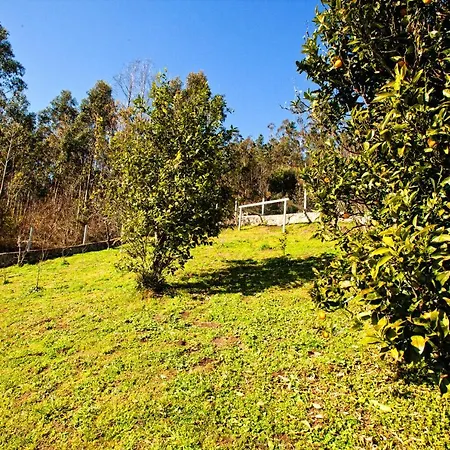 Apartment Casa Marcelino *